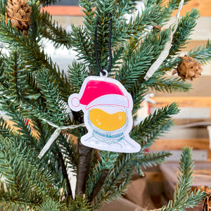 DayBoil Christmas Ornament